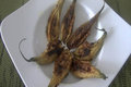 Stuffed Bittermelon - Indian Karela