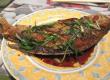 Stuffed Black Bass