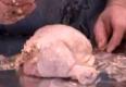 How To Make Stuffed Chicken Legs Part 2: Basic Stuffing
