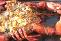 Stuffed Lobster