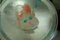 Vegan Sugar Cookies
