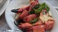 Sustainable Crabs
