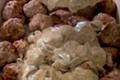 Swedish Meatballs with Mushroom Sauce