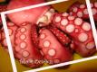 How To Slice Octopus