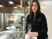 Tasting Newborn Wines During Harvest: From Crushpad To Tank