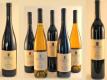 Tasting The Wines From Ribera Vineyards