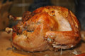 Thanksgiving Day Turkey