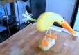 Making a Bird from Vegetables
