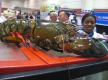 This Giant Lobster in 40 Years Old