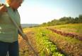 How Prepare Healthy Soil