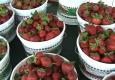 About The Best Strawberries