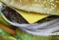 The Deli Restaurant Review