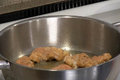 The Fit Chicken Cutlet