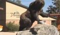 The Healthy Voyager on Traveling Eco and Eating Healthy, Vegan and Gluten Free in Big Bear Lake, CA 