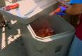 Finding The Main Maine Lobster