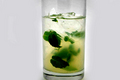 How To Make The Midnight Revelry