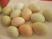 The Real Facts About Eggs Say It Is the Perfect Food