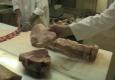 The Secret Ingredient @ Harvey's Guss Meat Co