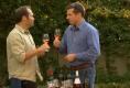 Lanzerac Manor And Winery Wine Tasting