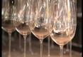 The Wine Glass Company