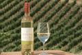 Winemaker Review