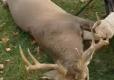 An Overview Of Tim Farmer Buck