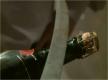 Tips To Open A Wine Bottle
