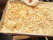 Halloween Episode, Toasted Pumpkin Seeds, Guest Hosted By Tony Ichabod Crane