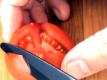 Tomato Cutting Slicing Knife