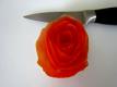 Betty's Rose Tomato