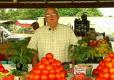 How To Grow Tomatoes