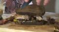 Stuffed Roast Loin Of Pork