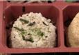 Trader Joe's Rice Vegetable Bento Box Review