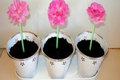 Trick and Treat Oreo Cheesecake Flower Pots