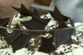 How To Make A Black Forest Trifle - Part 1