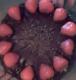 How To Make Triple Chocolate Cake - Part 2 - Finishing