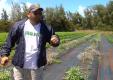 Tropic Farms Herbs Garden At A Glance