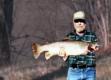 All About Trout Fin Clipping