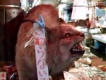 About Tsukiji Fish Market