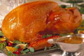 Christmas Grilled Turkey