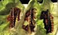 How To Make Turkey Lettuce Wraps