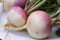 Buttery Grated Turnips