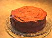 Homemade Two Layer Chocolate Cake