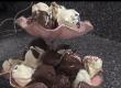 Unbaked Cookie Pops