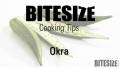 Details Of Okra