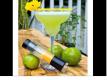 Handheld Margarita Salter