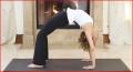 Urdhva Dhanurasana Or The Upward Facing Bow Pose With Holly Mosier
