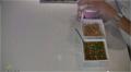 Using Thrive Small White Navy Beans