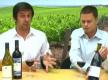 Tips To Pour Wine