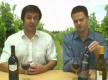Rapid Wine Pouring Tips